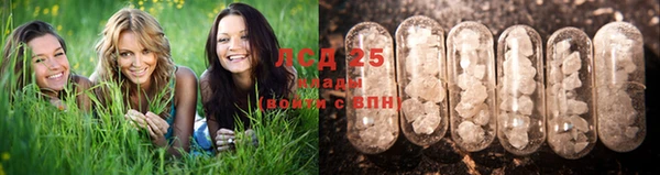 каннабис Новозыбков