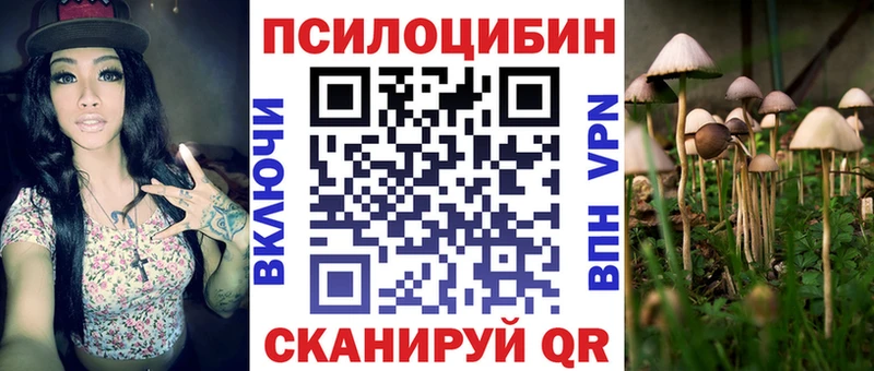 Псилоцибиновые грибы GOLDEN TEACHER  Иноземцево 